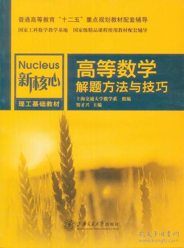 高等数学解题方法与技巧/新核心理工基础教材