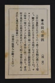 （甲1124）史料《亚东印画集》日本记者（情报部人员）拍摄 银盐照片 一页衬纸两张照片 江苏 南京 夏日水田灌溉江苏米 苏州 水面上的拱桥 桥上帖有哈德门 红屋香烟广告 配有详细说明 涉及标题 拍摄地点 情况简介