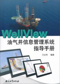 WellView油气井信息管理系统指导手册