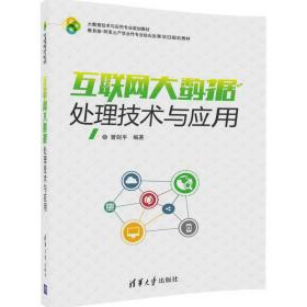 互联网大数据处理技术与应用/大数据技术与应用专业规划教材