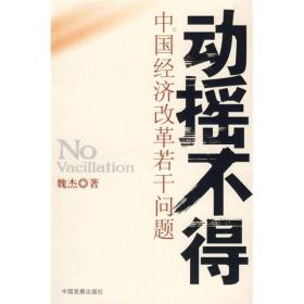 动摇不得：中国经济改革若干问题