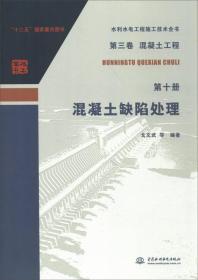 水利水电工程施工技术全书（第三卷）·（混凝土工程 第十册）：混凝土缺陷处理