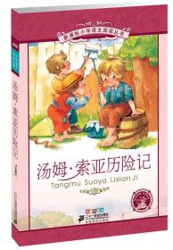 新课标小学语文阅读丛书:汤姆·索亚历险记