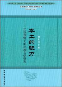 本土的张力：比较视野下的民族文学研究