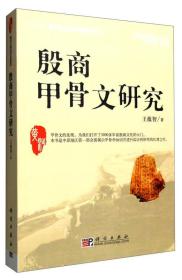 殷商甲骨文研究