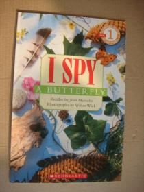 LEVEL 1:I SPY A BUTTERFLY