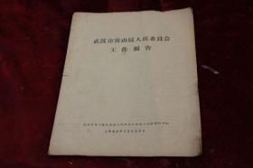 1963年武汉市青山区人民委员会工作报告