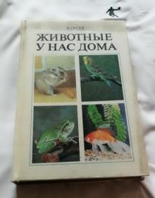 в. гусев животные унасдома   游乐园的动物正在散步