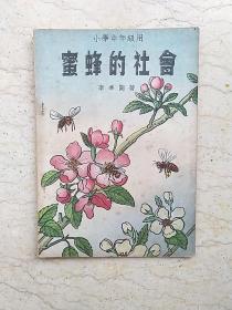 新编儿童读物：蜜蜂的社会（小学中年级用）【1950年初版】