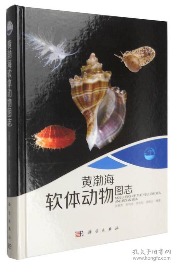 现代海洋科学 从近海到深海：黄渤海软体动物图志