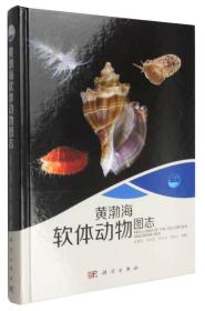 现代海洋科学 从近海到深海：黄渤海软体动物图志