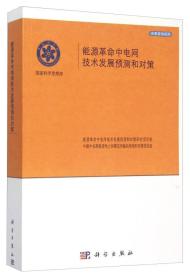 能源革命中电网及技术发展预测和对策