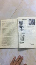 应用锆砂作为大型铸钢件抗粘砂材料的研究
