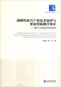 战略性新兴产业技术选择与要素禀赋耦合效应：基于兰西经济区的研究