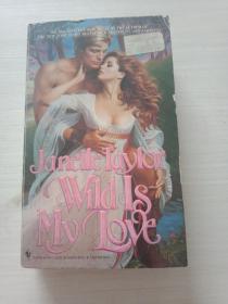 janelle taylor wildis my love【书口自然旧，书品见图】稍有划线