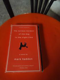 The Curious Incident of the Dog in the Night-Time