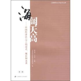 海阔天高：中国经济法（学）的过去、现在和未来（第2辑）