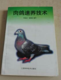 肉鸽速养技术q