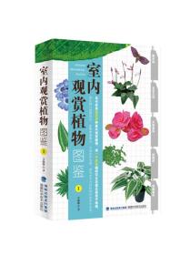 室内观赏植物图鉴1