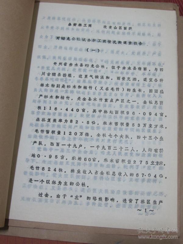 办好林工商改变山区面貌对嶓龙公社试办林工商情况的调查报告