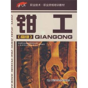 钳工（高级）9787504561220