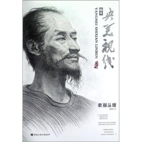 央美视线临本：素描头像