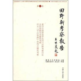 田野新考察报告（第一、二卷）