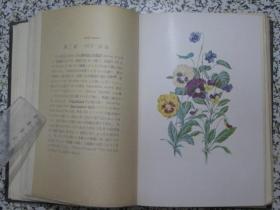 花の研究 昭和三年（1928年再版）