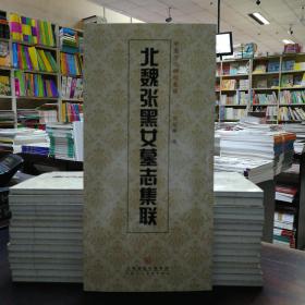 中国历代碑帖集联——北魏张黑女墓志集联