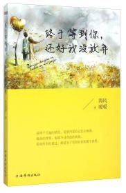终于等到你,还好我没放弃 海风暖暖 中国华侨出版社