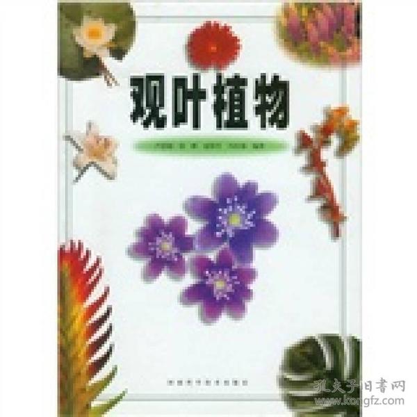 观叶植物（彩图版）