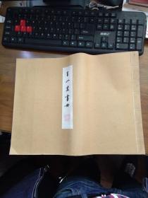 王小某画册 广陵古籍-珂罗版 精印，超大开本 线装38.5*29cm，近完品