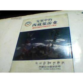发展中的西藏旅游业