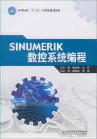 高等院校“十二五”示范性建设成果：SINUMERIK数控系统编程