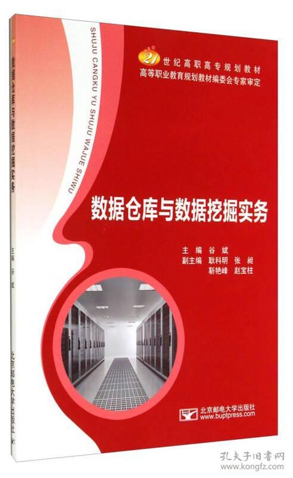 数据仓库与数据挖掘实务/21世纪高职高专规划教材