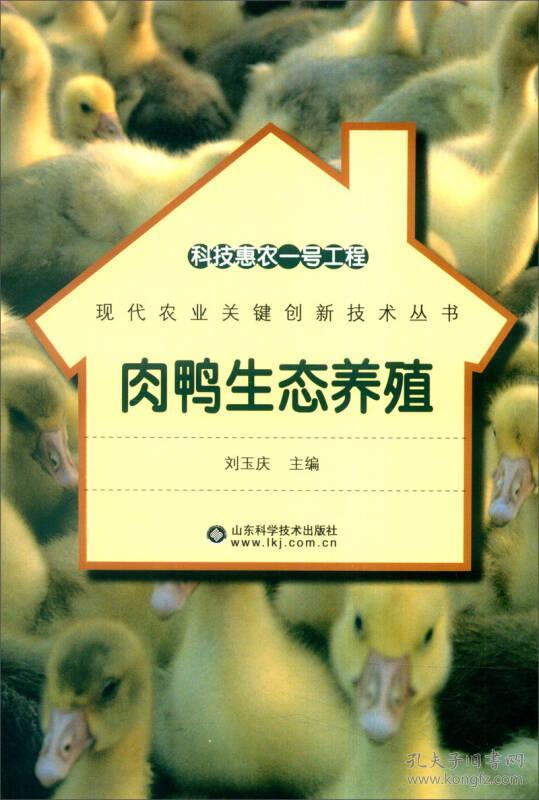 肉鸭生态养殖/现代农业关键创新技术丛书