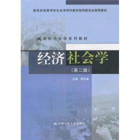 经济社会学（第2版）/21世纪社会学系列教材