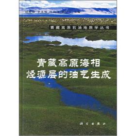 青藏高原海相烃源层的油气生成