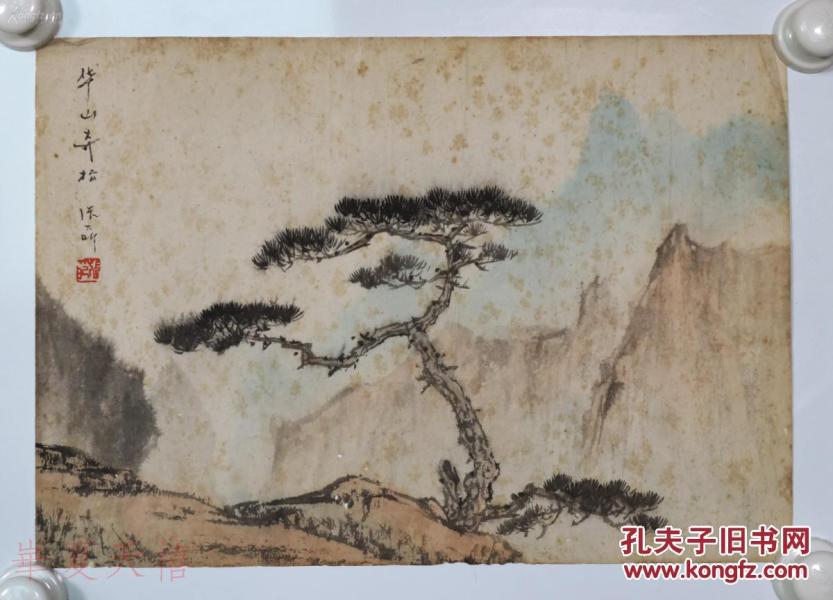 海派著名画家、贺天健等名人弟子、上海市文史研究馆馆员 张大昕 水墨画作品《华山奇松》一幅 （纸本托片，约0.8平尺，钤印：张印）