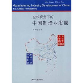 全球视角下的中国制造业发展