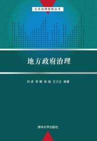 公共治理创新丛书：地方政府治理