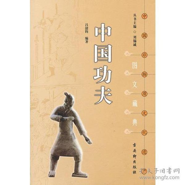中国非物质文化遗产文藏典丛书《中国功夫》