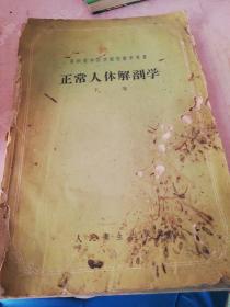正常人体解剖学  下卷