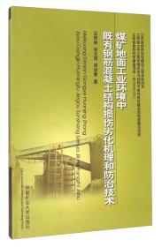 煤矿地面工业环境中既有钢筋混凝土结构损伤劣化机理和防治技术