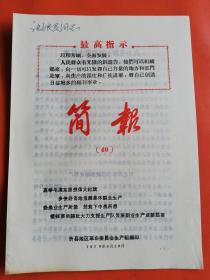 简报40