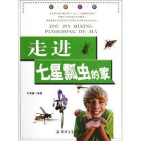 走进七星瓢虫的家