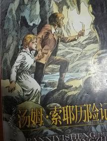 汤姆·索耶历险记
