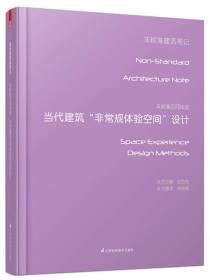 【正版现货】非标准空间体验——当代建筑非常规体验空间设计