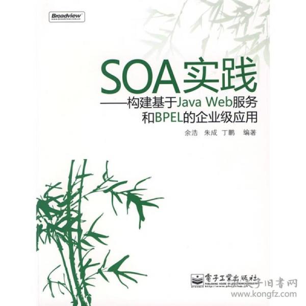 SOA实践：构建基于Java Web服务和BPEL的企业级应用