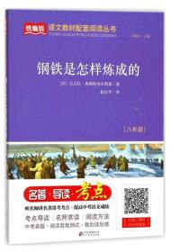 钢铁是怎样炼成的（八年级）/统编版语文教材配套阅读丛书